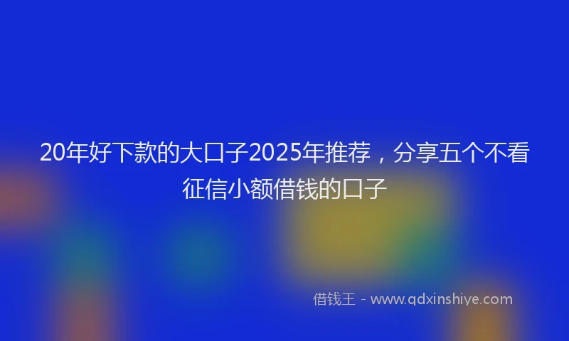 20年好下款的大口子2025年推荐，分享五个不看征信小额借钱的口子
