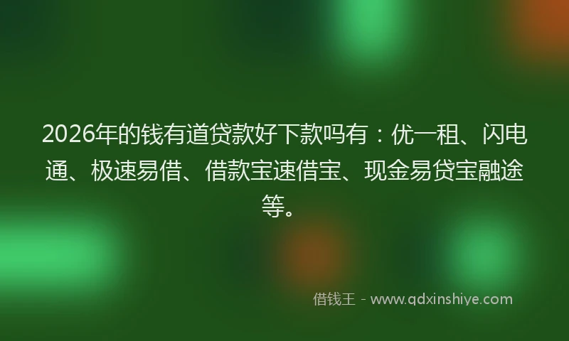 2026年的钱有道贷款好下款吗有：优一租、闪电通、极速易借、借款宝速借宝、现金易贷宝融途等。