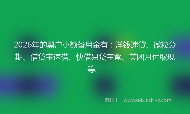2026年的黑户小额备用金有：洋钱速贷、微粒分期、借贷宝速借、快借易贷宝盒、美团月付取现等。