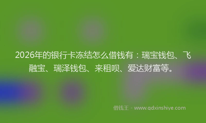 2026年的银行卡冻结怎么借钱有：瑞宝钱包、飞融宝、瑞泽钱包、来租呗、爱达财富等。