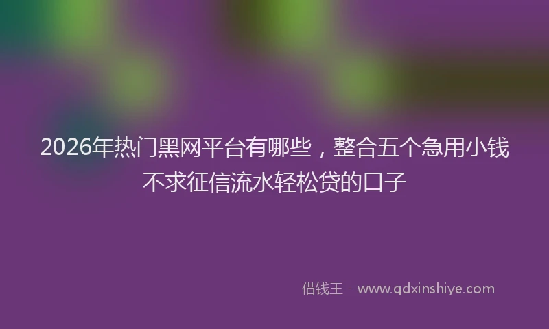 2026年热门黑网平台有哪些，整合五个急用小钱不求征信流水轻松贷的口子