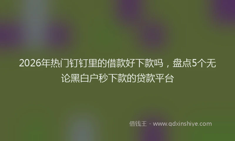 2026年热门钉钉里的借款好下款吗，盘点5个无论黑白户秒下款的贷款平台