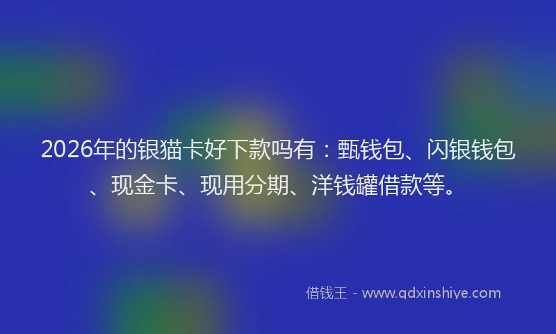 2026年的银猫卡好下款吗有：甄钱包、闪银钱包、现金卡、现用分期、洋钱罐借款等。