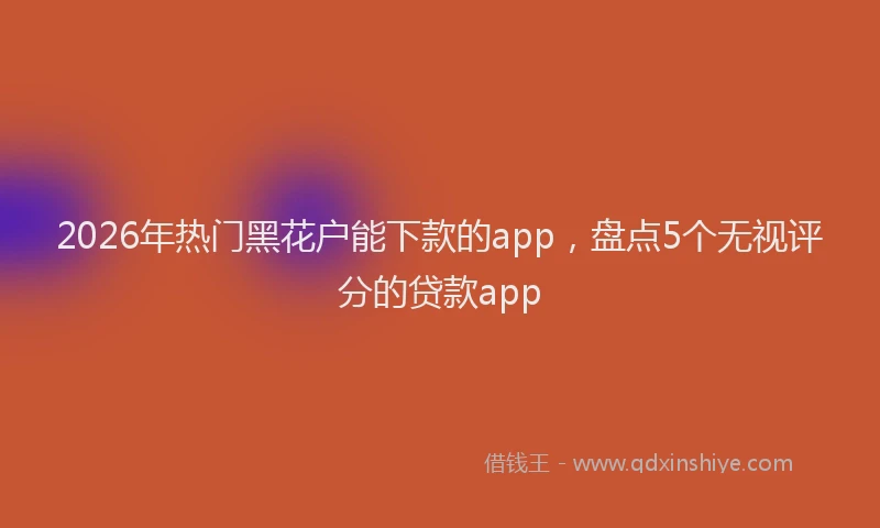 2026年热门黑花户能下款的app，盘点5个无视评分的贷款app