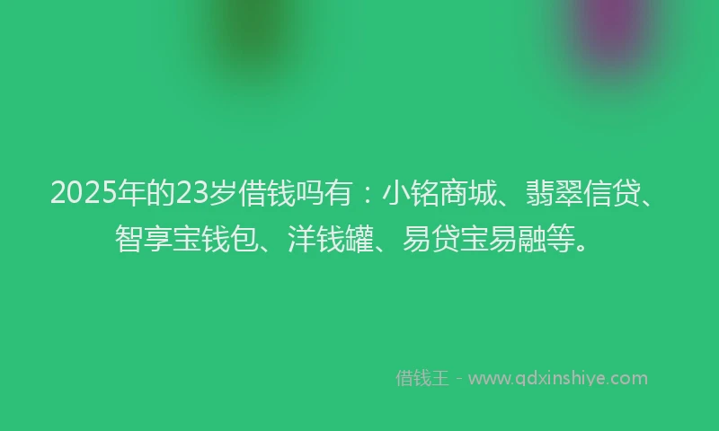 2025年的23岁借钱吗有：小铭商城、翡翠信贷、智享宝钱包、洋钱罐、易贷宝易融等。