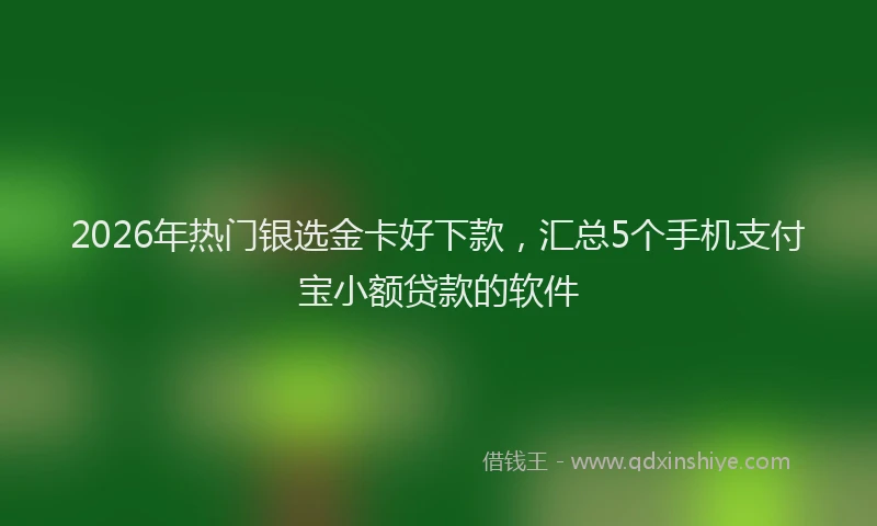 2026年热门银选金卡好下款，汇总5个手机支付宝小额贷款的软件