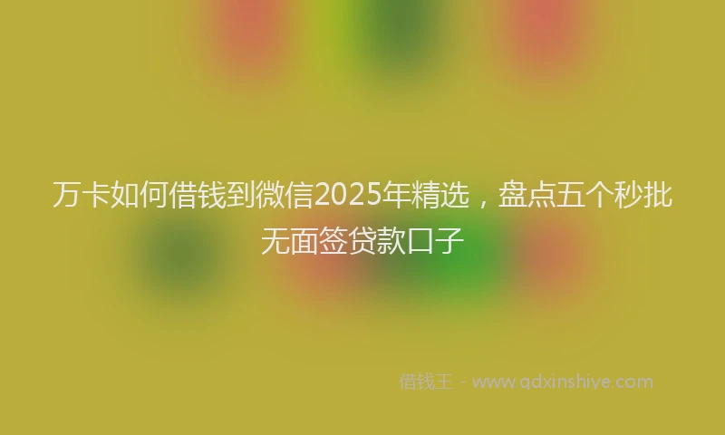 万卡如何借钱到微信2025年精选，盘点五个秒批无面签贷款口子