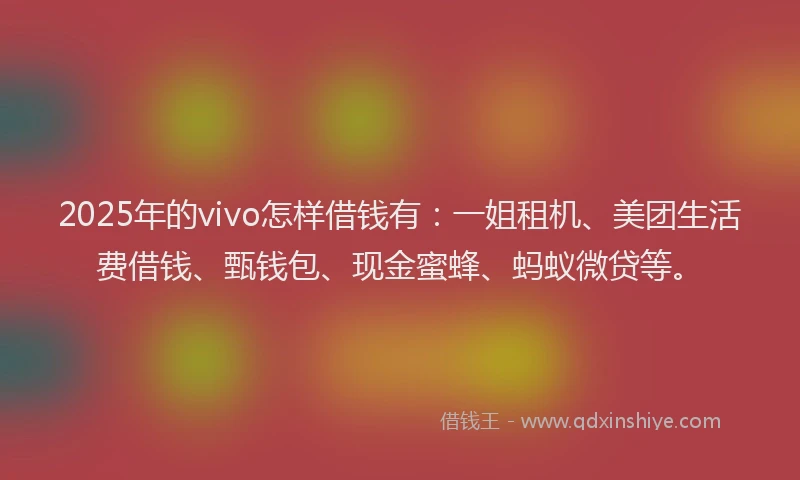 2025年的vivo怎样借钱有：一姐租机、美团生活费借钱、甄钱包、现金蜜蜂、蚂蚁微贷等。