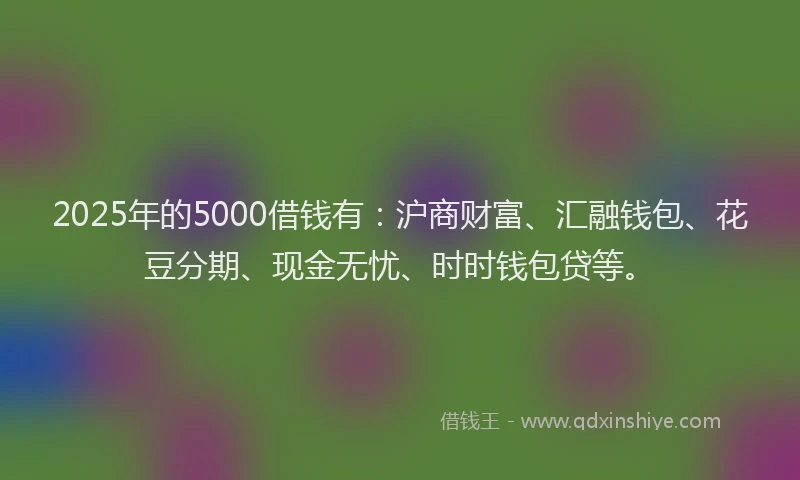 2025年的5000借钱有:沪商财富、汇融钱包、花豆分期、现金无忧、时时钱包贷等。