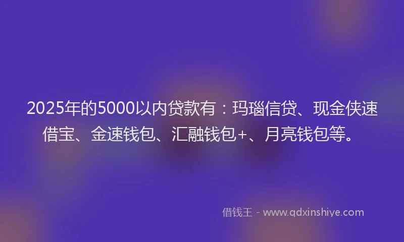 2025年的5000以内贷款有：玛瑙信贷、现金侠速借宝、金速钱包、汇融钱包+、月亮钱包等。