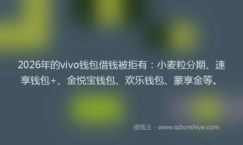 2026年的vivo钱包借钱被拒有：小麦粒分期、速享钱包+、金悦宝钱包、欢乐钱包、蒙享金等。