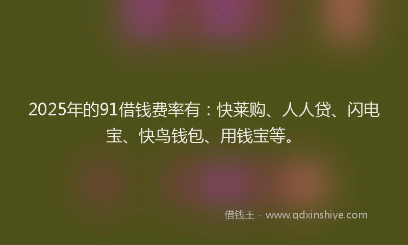 2025年的91借钱费率有：快莱购、人人贷、闪电宝、快鸟钱包、用钱宝等。