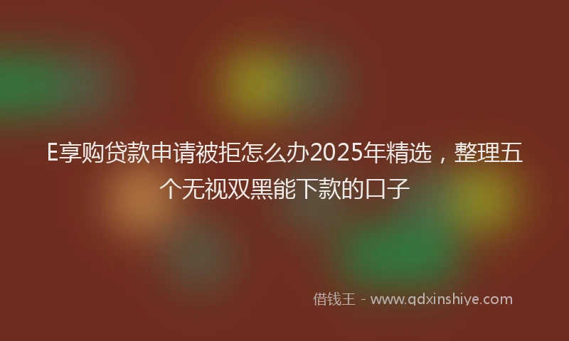 E享购贷款申请被拒怎么办2025年精选，整理五个无视双黑能下款的口子