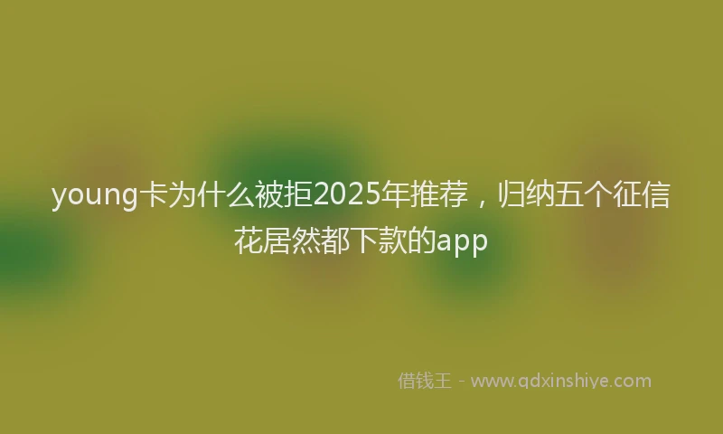young卡为什么被拒2025年推荐，归纳五个征信花居然都下款的app