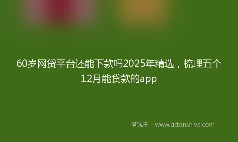 60岁网贷平台还能下款吗2025年精选，梳理五个12月能贷款的app
