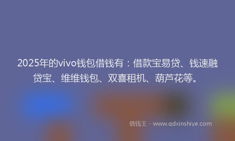 2025年的vivo钱包借钱有：借款宝易贷、钱速融贷宝、维维钱包、双喜租机、葫芦花等。
