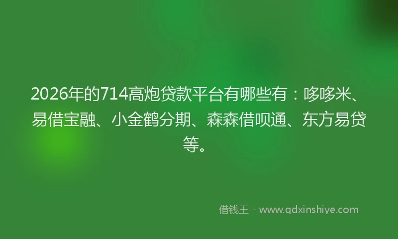 2026年的714高炮贷款平台有哪些有：哆哆米、易借宝融、小金鹤分期、森森借呗通、东方易贷等。