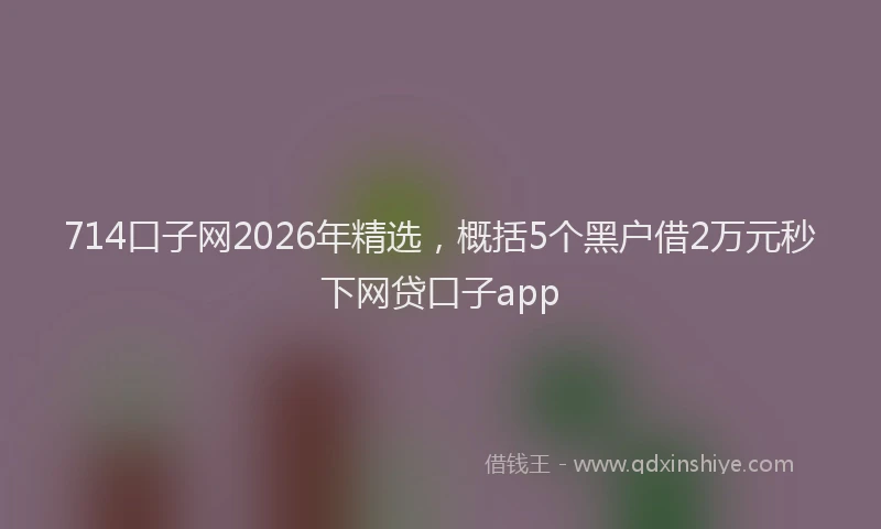 714口子网2026年精选，概括5个黑户借2万元秒下网贷口子app
