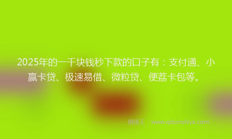 2025年的一千块钱秒下款的口子有：支付通、小赢卡贷、极速易借、微粒贷、便荔卡包等。