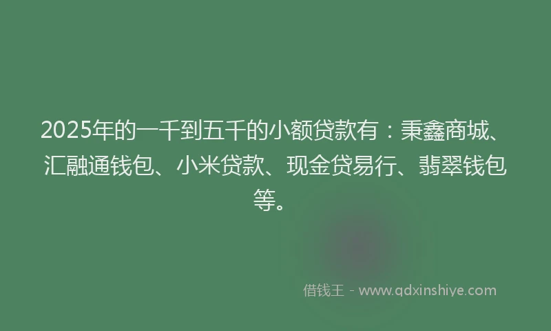 2025年的一千到五千的小额贷款有：秉鑫商城、汇融通钱包、小米贷款、现金贷易行、翡翠钱包等。