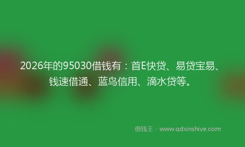 2026年的95030借钱有：首E快贷、易贷宝易、钱速借通、蓝鸟信用、滴水贷等。
