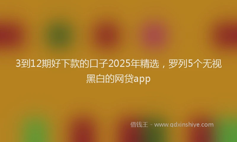 3到12期好下款的口子2025年精选，罗列5个无视黑白的网贷app