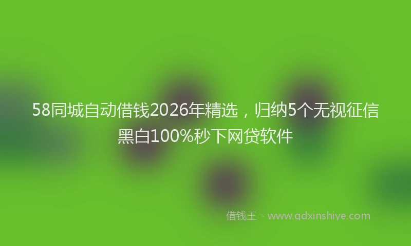 58同城自动借钱2026年精选，归纳5个无视征信黑白100%秒下网贷软件