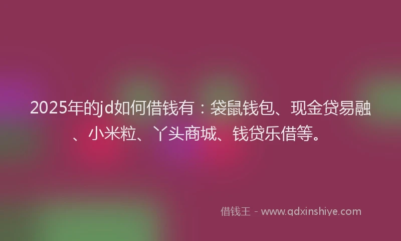 2025年的jd如何借钱有：袋鼠钱包、现金贷易融、小米粒、丫头商城、钱贷乐借等。