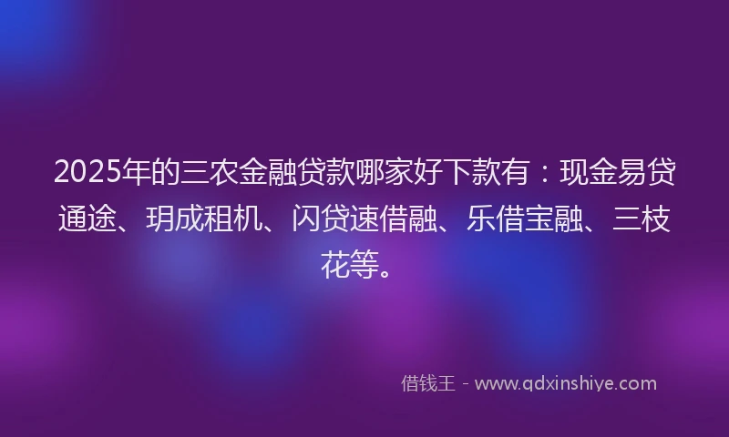 2025年的三农金融贷款哪家好下款有：现金易贷通途、玥成租机、闪贷速借融、乐借宝融、三枝花等。