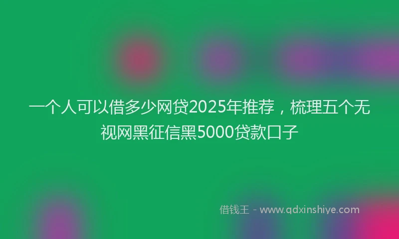 一个人可以借多少网贷2025年推荐,梳理五个无视网黑征信黑5000贷款口子