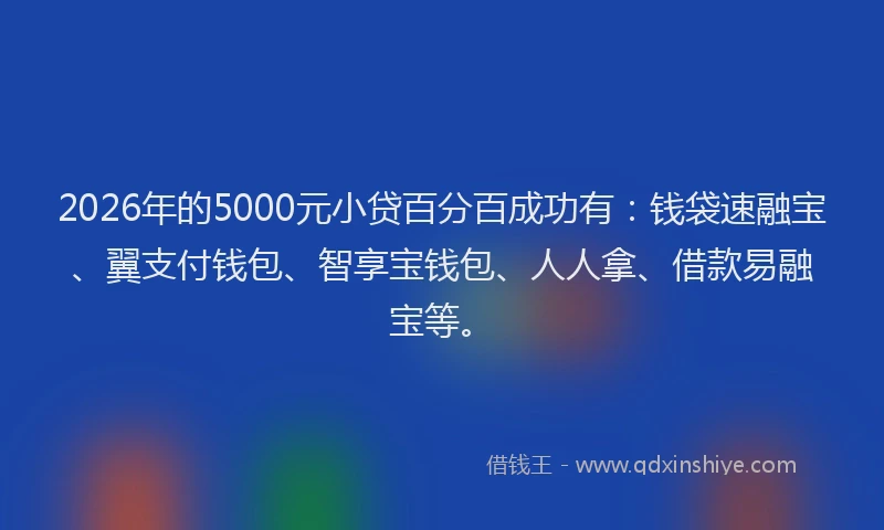 2026年的5000元小贷百分百成功有：钱袋速融宝、翼支付钱包、智享宝钱包、人人拿、借款易融宝等。