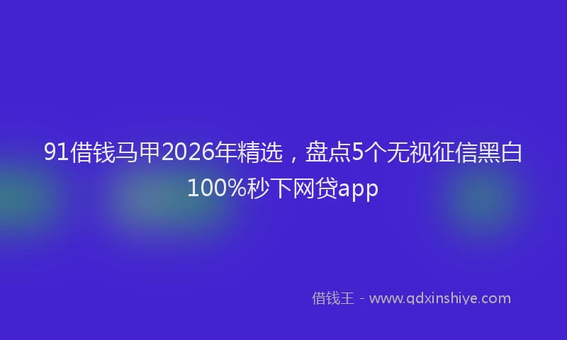 91借钱马甲2026年精选，盘点5个无视征信黑白100%秒下网贷app