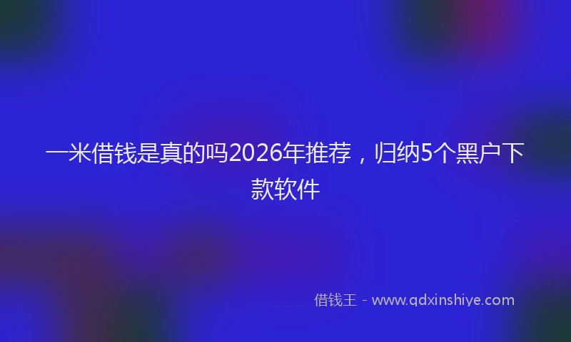 一米借钱是真的吗2026年推荐，归纳5个黑户下款软件