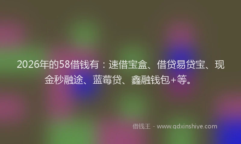 2026年的58借钱有：速借宝盒、借贷易贷宝、现金秒融途、蓝莓贷、鑫融钱包+等。
