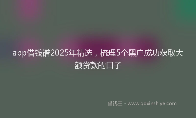 app借钱谱2025年精选，梳理5个黑户成功获取大额贷款的口子