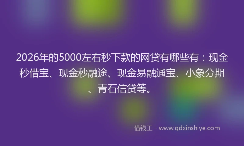2026年的5000左右秒下款的网贷有哪些有:现金秒借宝、现金秒融途、现金易融通宝、小象分期、青石信贷等。