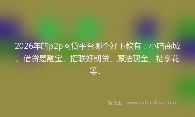 2026年的p2p网贷平台哪个好下款有:小喵商城、借贷易融宝、招联好期贷、魔法现金、桔享花等。