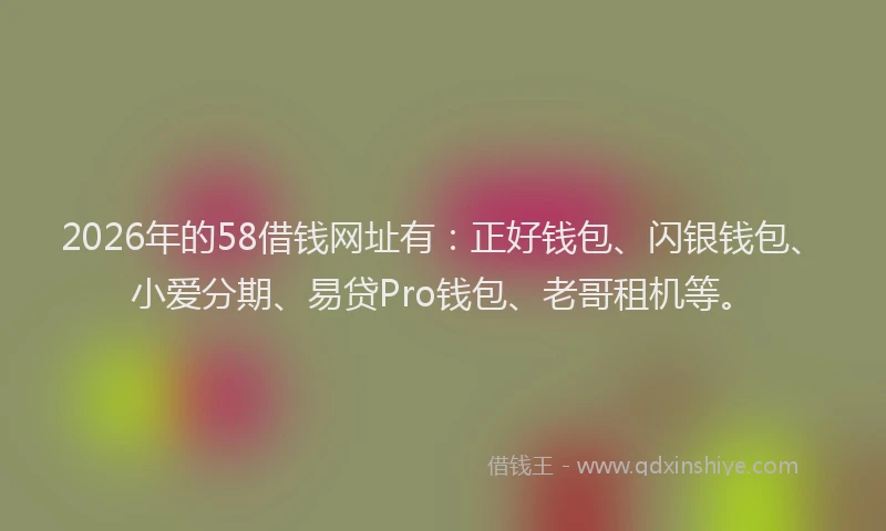 2026年的58借钱网址有:正好钱包、闪银钱包、小爱分期、易贷Pro钱包、老哥租机等。