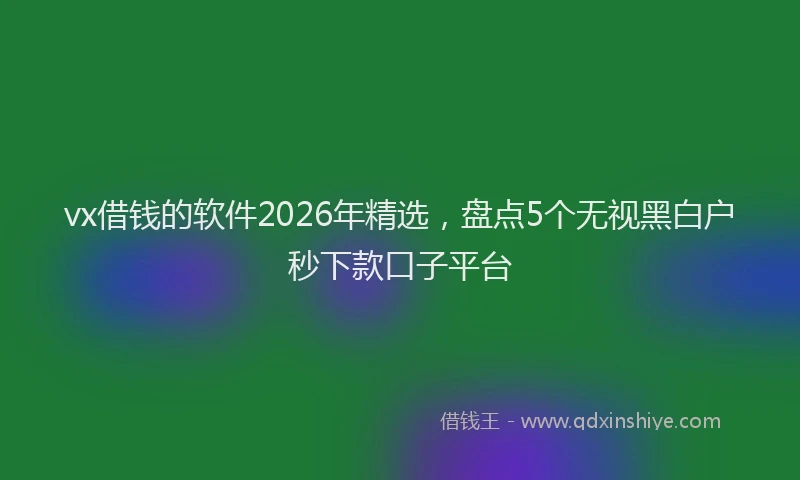 vx借钱的软件2026年精选，盘点5个无视黑白户秒下款口子平台