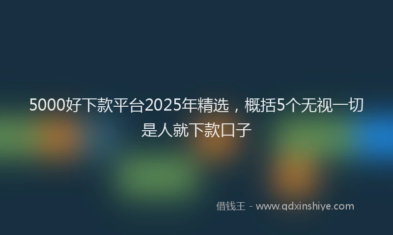 5000好下款平台2025年精选，概括5个无视一切是人就下款口子
