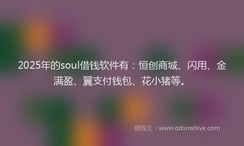 2025年的soul借钱软件有：恒创商城、闪用、金满盈、翼支付钱包、花小猪等。