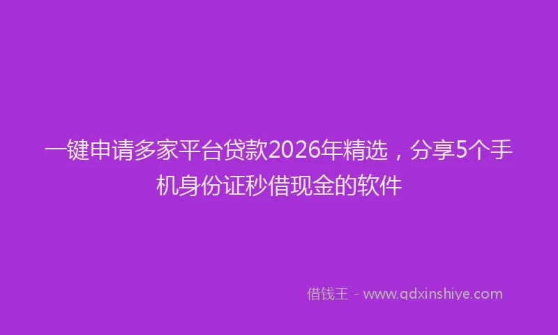 一键申请多家平台贷款2026年精选，分享5个手机身份证秒借现金的软件