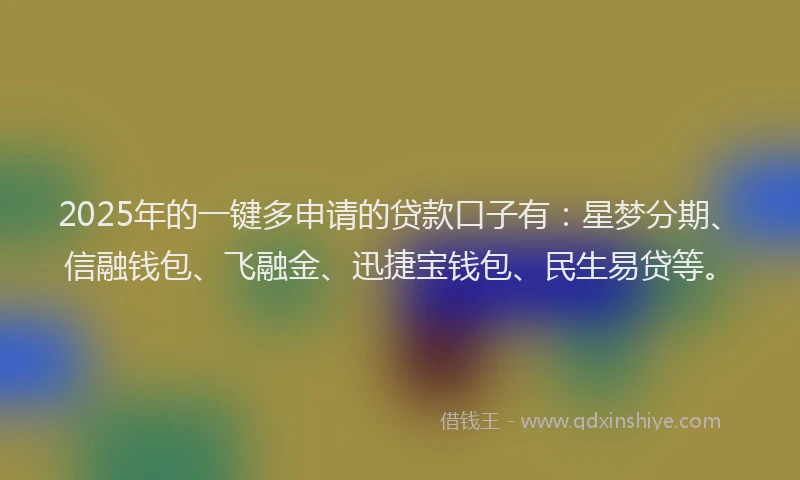 2025年的一键多申请的贷款口子有：星梦分期、信融钱包、飞融金、迅捷宝钱包、民生易贷等。