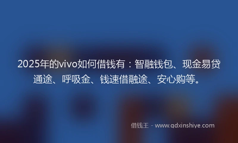 2025年的vivo如何借钱有：智融钱包、现金易贷通途、呼吸金、钱速借融途、安心购等。