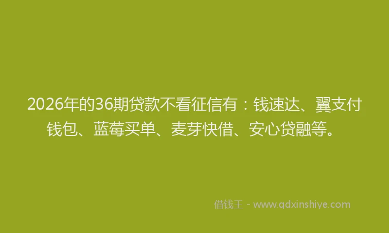 2026年的36期贷款不看征信有：钱速达、翼支付钱包、蓝莓买单、麦芽快借、安心贷融等。
