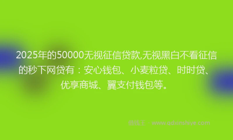 2025年的50000无视征信贷款,无视黑白不看征信的秒下网贷有：安心钱包、小麦粒贷、时时贷、优享商城、翼支付钱包等。