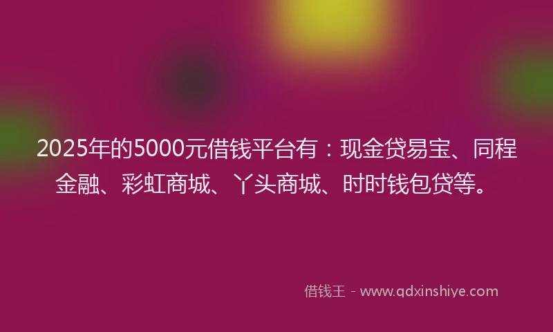 2025年的5000元借钱平台有:现金贷易宝、同程金融、彩虹商城、丫头商城、时时钱包贷等。
