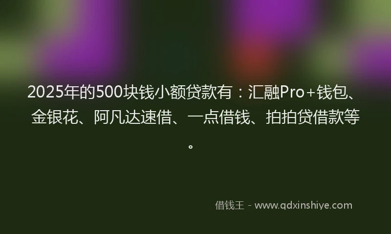 2025年的500块钱小额贷款有：汇融Pro+钱包、金银花、阿凡达速借、一点借钱、拍拍贷借款等。