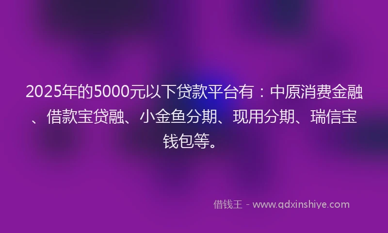 2025年的5000元以下贷款平台有：中原消费金融、借款宝贷融、小金鱼分期、现用分期、瑞信宝钱包等。