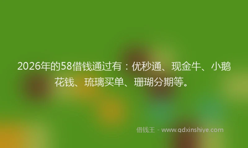 2026年的58借钱通过有：优秒通、现金牛、小鹅花钱、琉璃买单、珊瑚分期等。